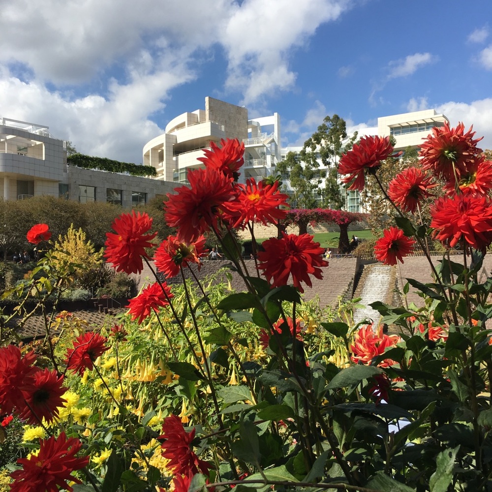 Meet your Posher, Meghan